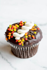 Chocolate cupcake topped with sprinkle toppings as made famous by Sweets by Diane in Roseville, Minnesota